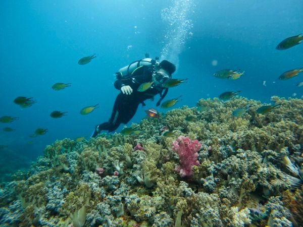 Snorkeling Tour Nha Trang BBQ Onboard